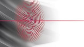 Gleason Fingerprint